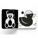 51L2Ju9DJbL._SL1001_.webp