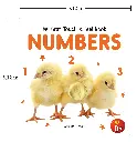 61nIRnZhXEL._SL1500_.webp