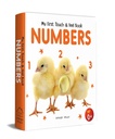 My First Book of Touch And Feel - Numbers : Touch And Feel Board Book For CHildren